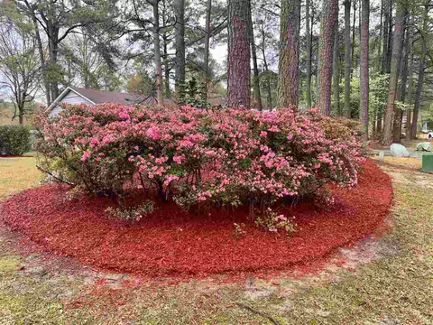 1 Alpine Ct, Smithfield, NC 27577 photo 5