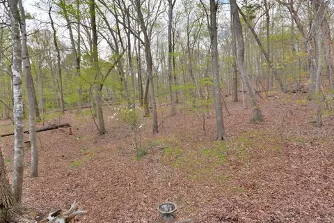 5619 Red Coach Rd, Durham, NC 27712 photo 27