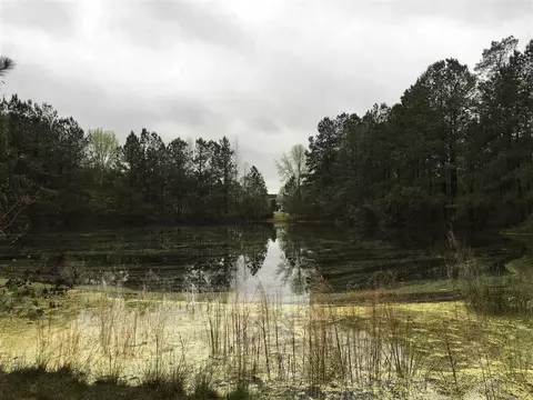 7288 Benson Hardee Rd, Benson, NC 27504 photo 3