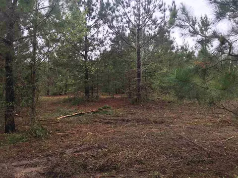 7288 Benson Hardee Rd, Benson, NC 27504 photo 4