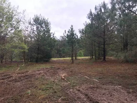 7288 Benson Hardee Rd, Benson, NC 27504 photo 5