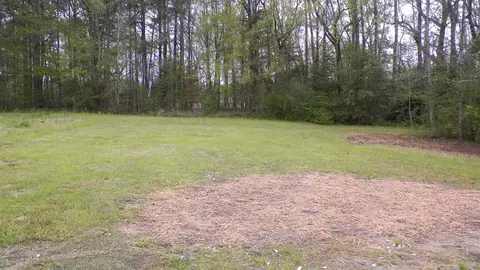 207 E Barbee St, Zebulon, NC 27597 photo 13