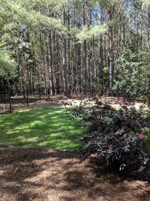 1609 Strategy Way, Wake Forest, NC 27587 photo 26