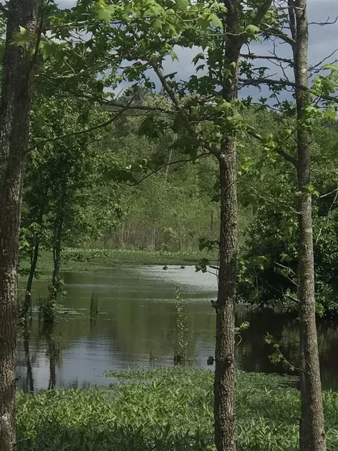 140 Three Sisters Dr, Benson, NC 27504 photo 1