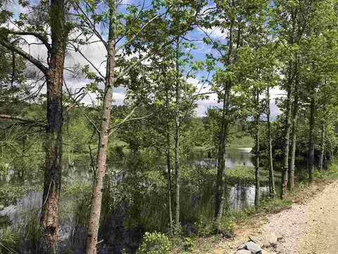140 Three Sisters Dr, Benson, NC 27504 photo 7