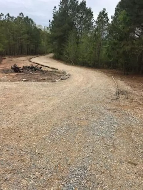 140 Three Sisters Dr, Benson, NC 27504 photo 5