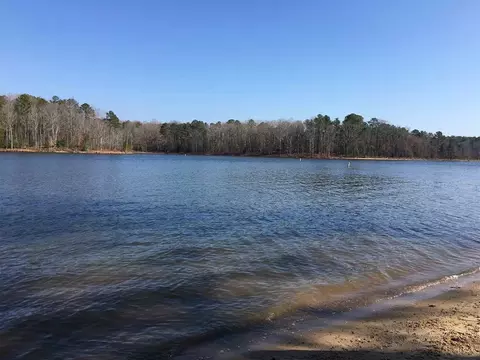 109 Dunn Ave, Wake Forest, NC 27587 photo 5