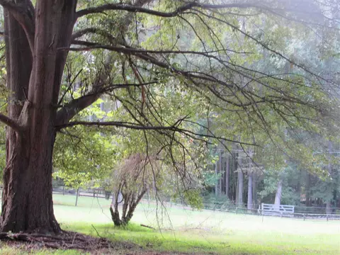 13624 New Light Rd, Wake Forest, NC 27587 photo 7