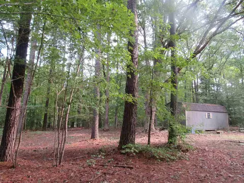 13624 New Light Rd, Wake Forest, NC 27587 photo 8