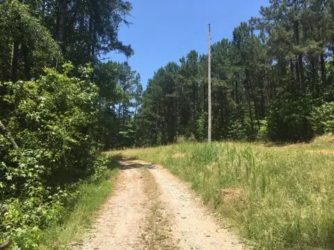 3326 Coley Rd, Durham, NC 27703 photo 29
