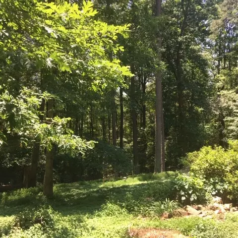 3326 Coley Rd, Durham, NC 27703 photo 26