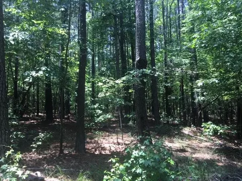 3326 Coley Rd, Durham, NC 27703 photo 20