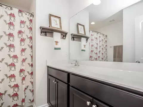 3809 Windsnap Dr, Wake Forest, NC 27587 photo 16