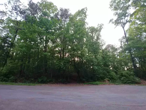 209 Lema Dr, Garner, NC 27529 photo 5