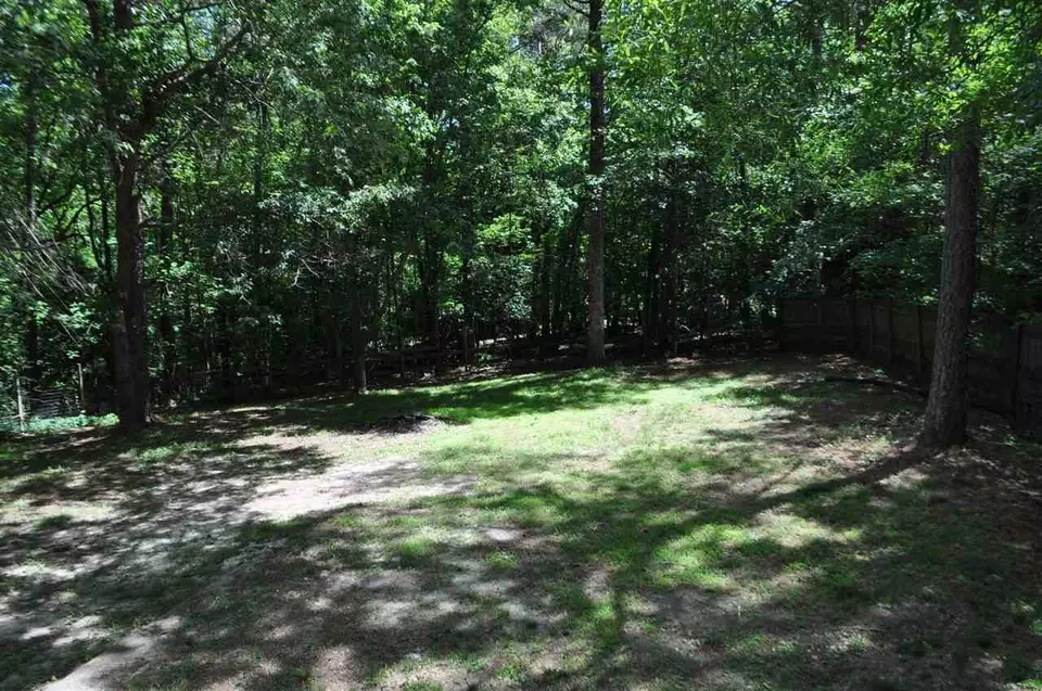  186 Creekstone Dr, Benson, NC 27504 photo 23