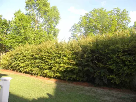 102 Colonade Ct, Benson, NC 27504 photo 24