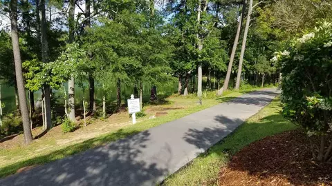 974 Shoofly Path, Apex, NC 27502 photo 4