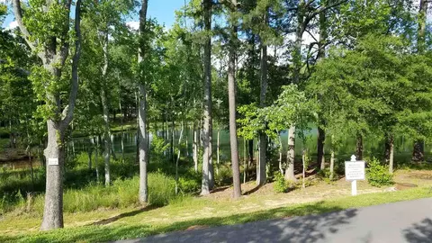974 Shoofly Path, Apex, NC 27502 photo 2