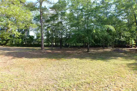 223 Beasley Estates Dr, Benson, NC 27504 photo 15