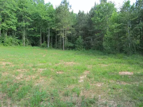 1871 Wiley Rd, Spring Hope, NC 27882 photo 9