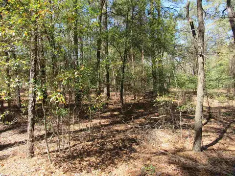 335 Linden Rd, Pinehurst, NC 28374 photo 3