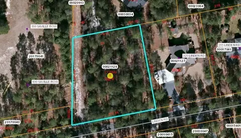 335 Linden Rd, Pinehurst, NC 28374 photo 7