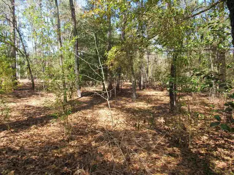 335 Linden Rd, Pinehurst, NC 28374 photo 4