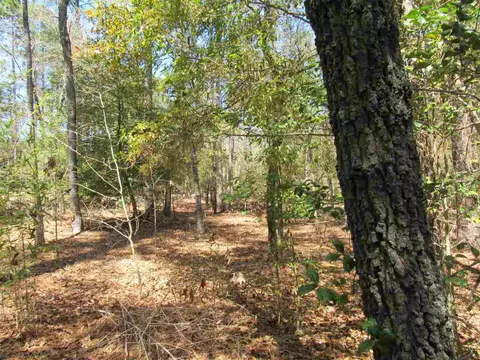 335 Linden Rd, Pinehurst, NC 28374 photo 5