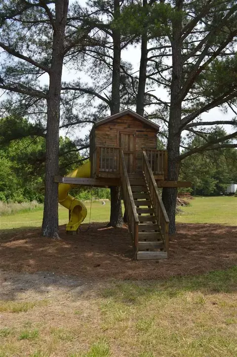 120 Deer Farm Ln, Willow Spring, NC 27592 photo 28