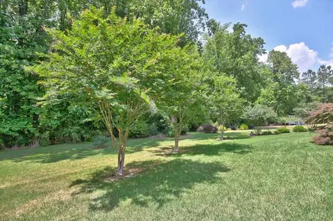 8204 Yellow Aster Ct, Willow Spring, NC 27592 photo 26