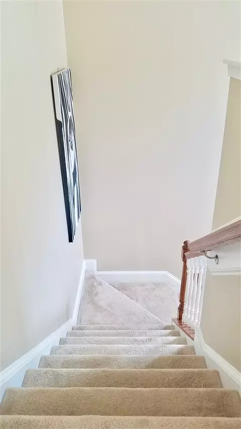 525 Birchrun Dr, Durham, NC 27712 photo 16