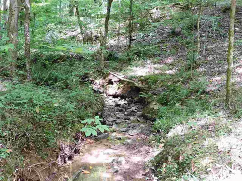 8709 Mckee Rd, Rougemont, NC 27572 photo 23
