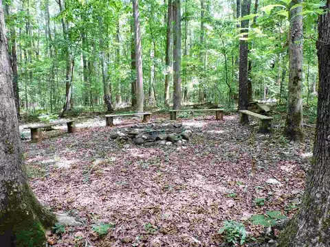 8709 Mckee Rd, Rougemont, NC 27572 photo 25