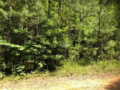 1635 Jeffrey Ct, Spring Hope, NC 27882 photo 2