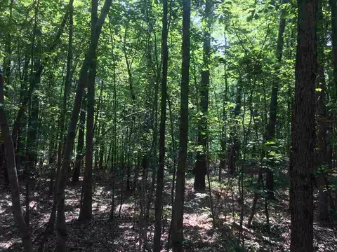 633 Gade Bryant Rd, Moncure, NC 27559 photo 2