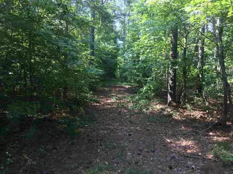 633 Gade Bryant Rd, Moncure, NC 27559 photo 4