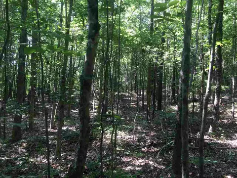 633 Gade Bryant Rd, Moncure, NC 27559 photo 3