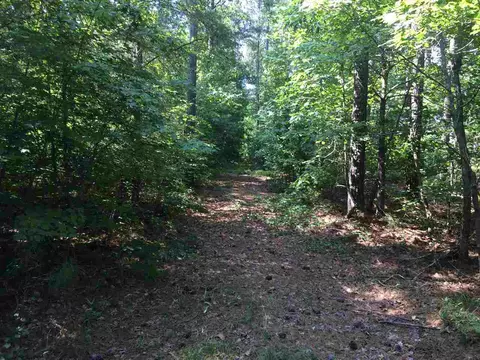 633 Gade Bryant Rd, Moncure, NC 27559 photo 1