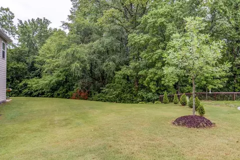 809 Tree Green Ln, Wake Forest, NC 27587 photo 27