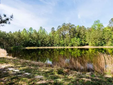 tbd Pilson Rd, Cameron, NC 28326 photo 14