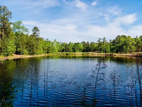 tbd Pilson Rd, Cameron, NC 28326 photo 11