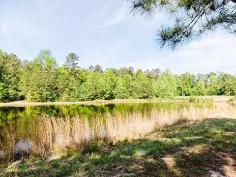 tbd Pilson Rd, Cameron, NC 28326 photo 13