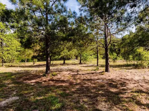 tbd Pilson Rd, Cameron, NC 28326 photo 12
