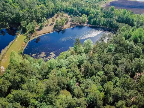 tbd Pilson Rd, Cameron, NC 28326 photo 6