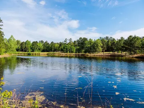 tbd Pilson Rd, Cameron, NC 28326 photo 10
