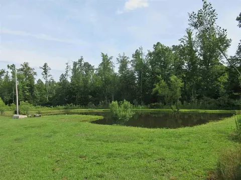 584 Barnes Rd, Middlesex, NC 27557 photo 21