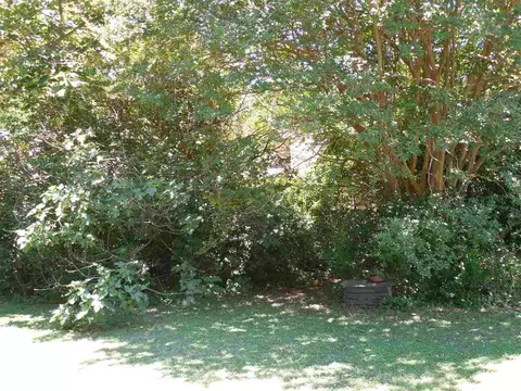 1416 Ruffin St, Durham, NC 27701 photo 18