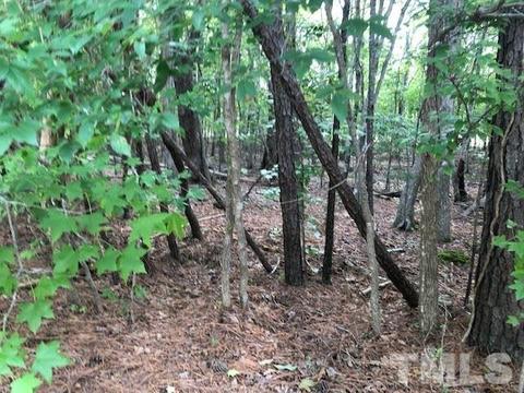 5313 Big Fork Rd, Durham, NC 27712 photo 1