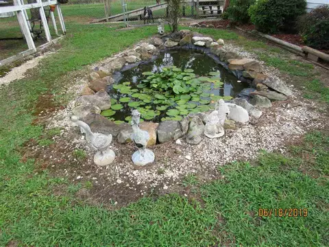 707 Old Hamilton Rd, Dunn, NC 28334 photo 6