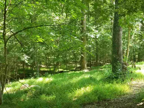 6864 Windover Dr, Durham, NC 27712 photo 2